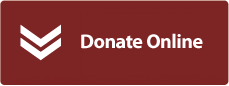 donate_button-template-(1)