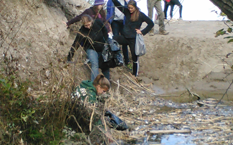 park cleanup